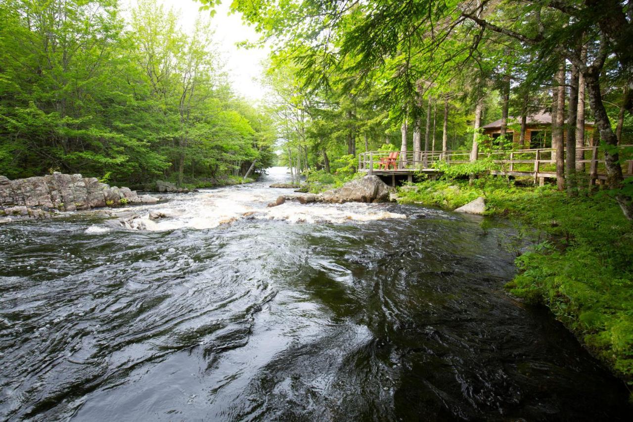 Mersey River Chalets A Nature Retreat Caledonia المظهر الخارجي الصورة