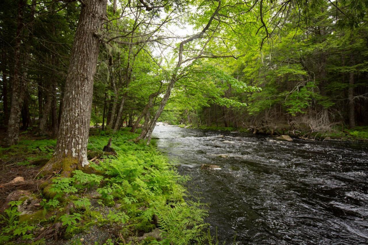 Mersey River Chalets A Nature Retreat Caledonia المظهر الخارجي الصورة