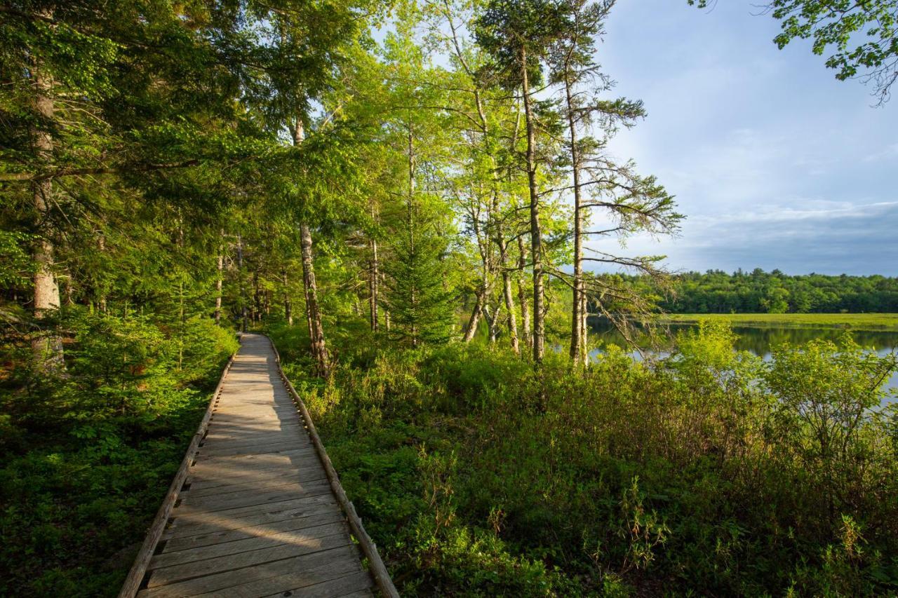 Mersey River Chalets A Nature Retreat Caledonia المظهر الخارجي الصورة