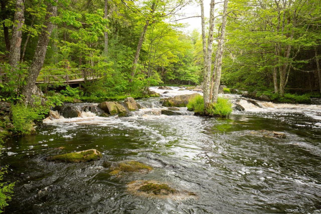 Mersey River Chalets A Nature Retreat Caledonia المظهر الخارجي الصورة
