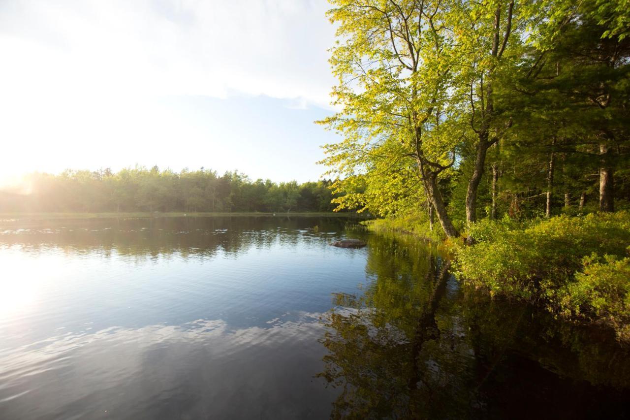 Mersey River Chalets A Nature Retreat Caledonia المظهر الخارجي الصورة