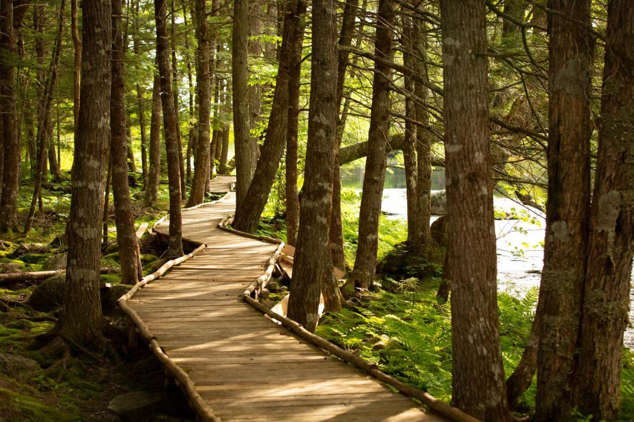 Mersey River Chalets A Nature Retreat Caledonia المظهر الخارجي الصورة