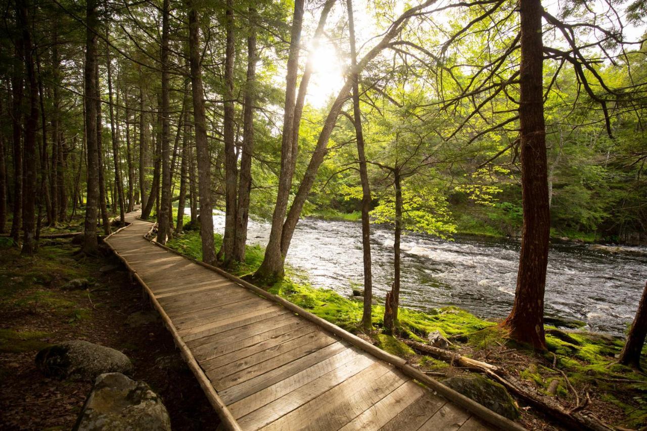 Mersey River Chalets A Nature Retreat Caledonia المظهر الخارجي الصورة