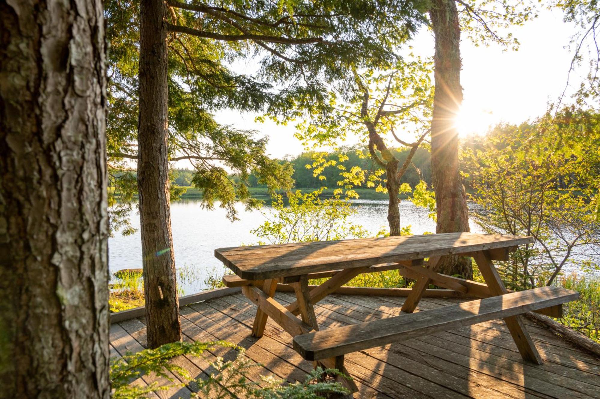 Mersey River Chalets A Nature Retreat Caledonia المظهر الخارجي الصورة